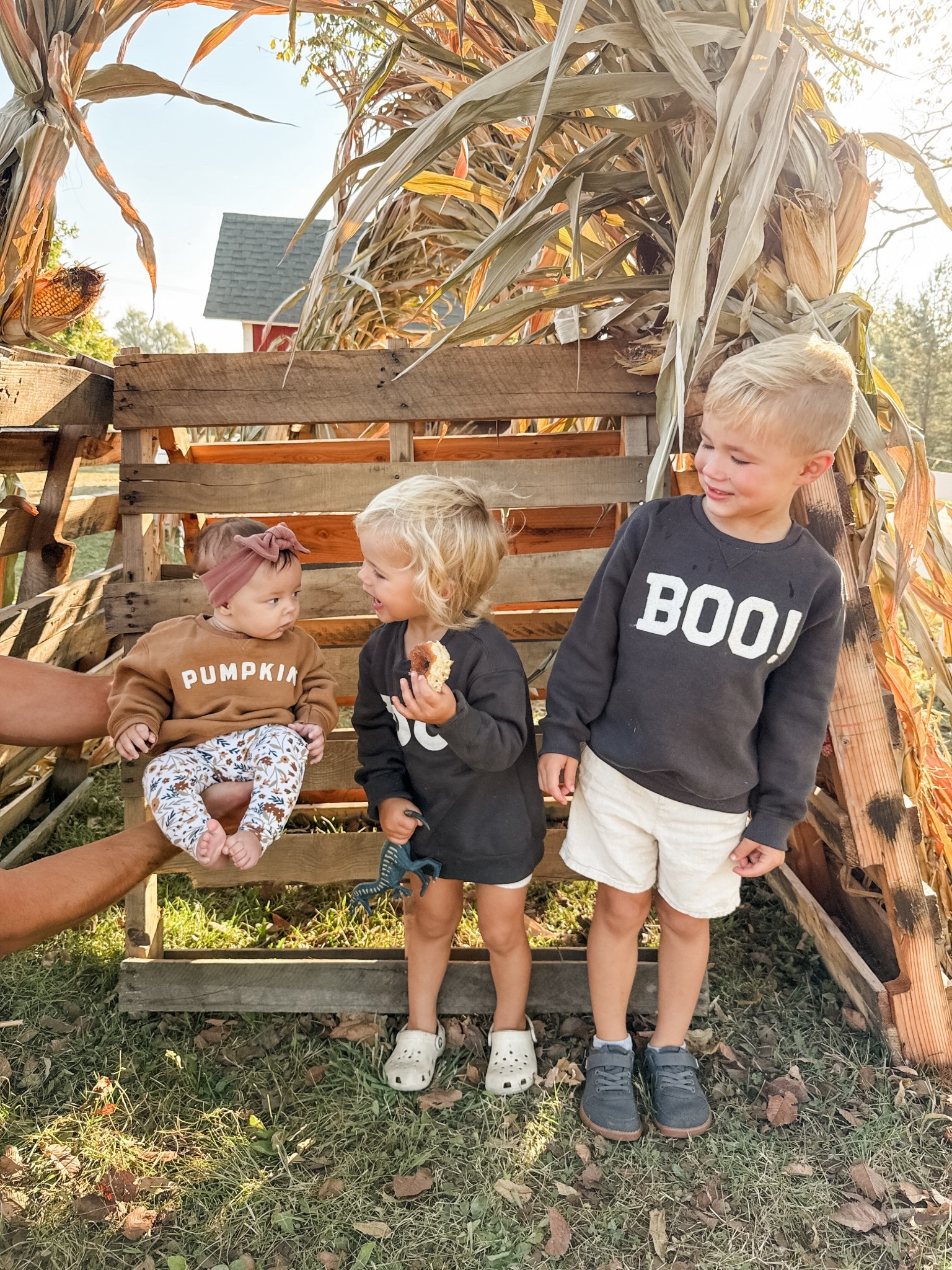 Coziest and cutest sweatshirts for fall 🧡

#LTKHalloween #LTKSeasonal #LTKKids