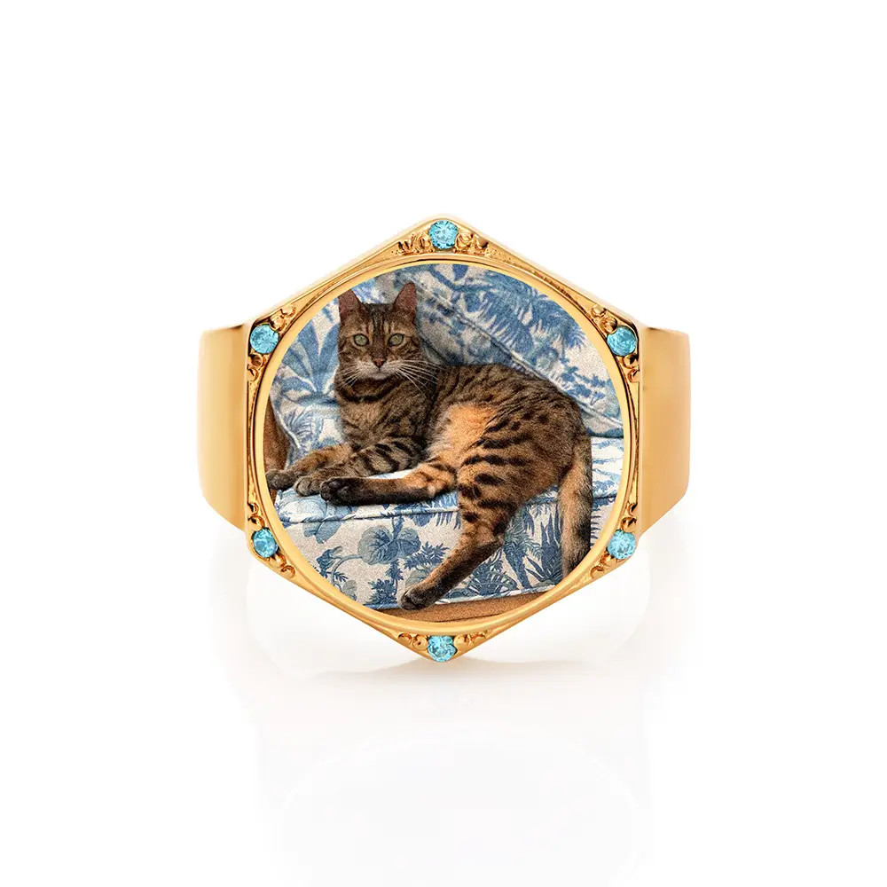 Coco Hexagon Photo Ring in Gold Plating | Theo Grace
