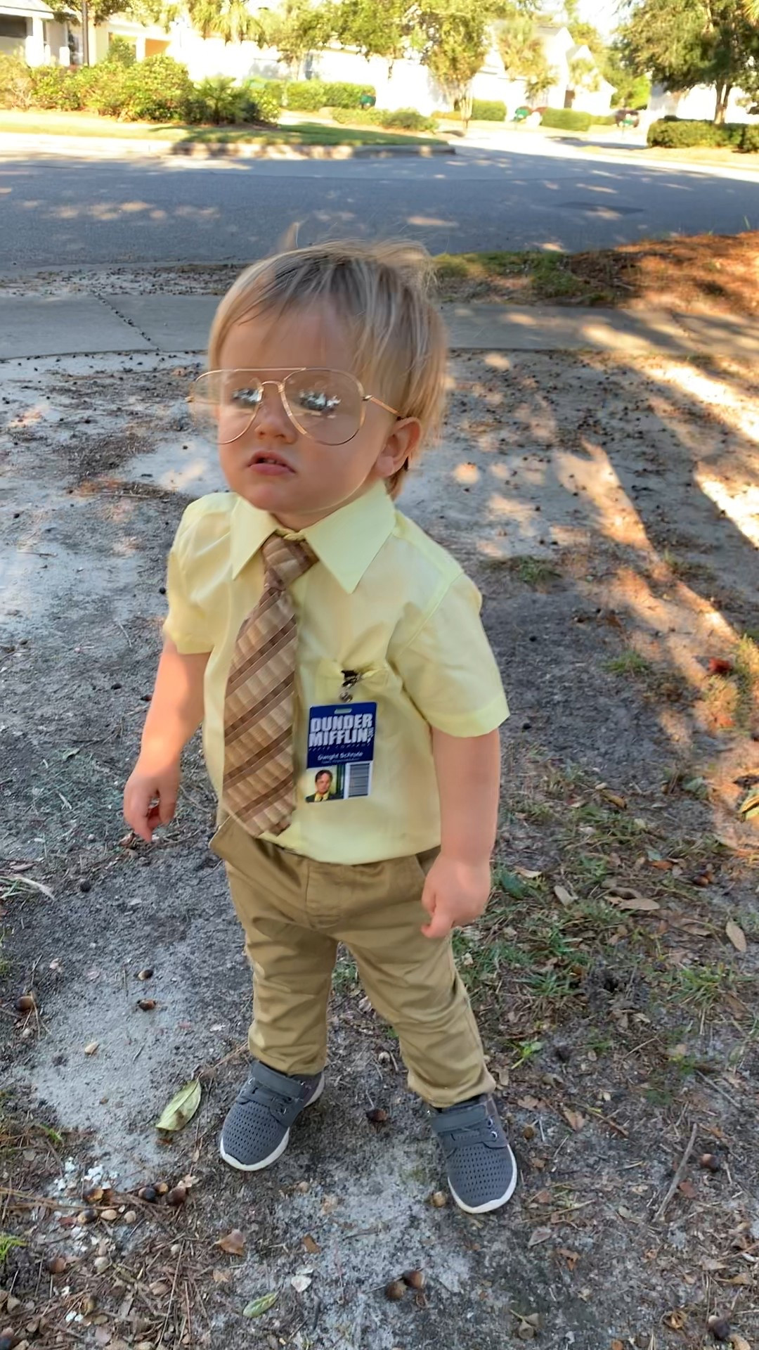 the office toddler dwight costume, halloween costume ideas, funny halloween costume, the office costumes, dwight schrute office costume


#LTKSeasonal #LTKKids #LTKHalloween