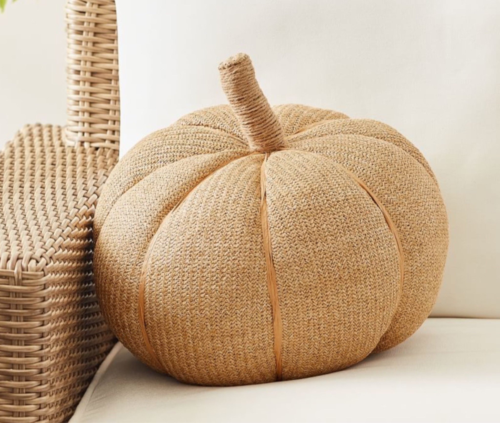Pumpkin pillow, indoor/outdoor, fall decor

#LTKhome #LTKSeasonal