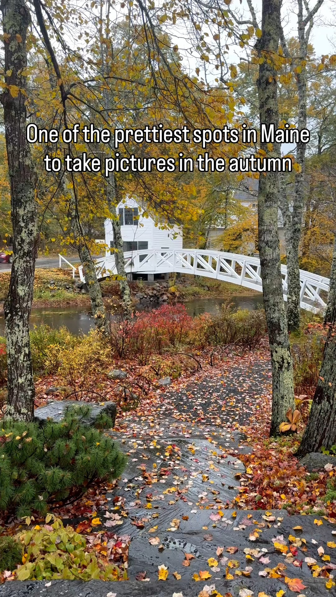 Does autumn in Maine get anymore prettier? 

#mdi #somesville #autumninmaine