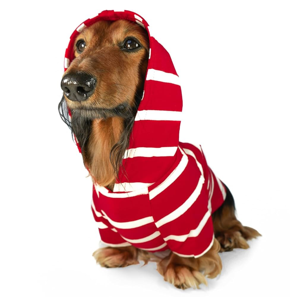DJANGO Striped Dog Hoodie – Soft, Stretchy & Lightweight Dog Sweater with Hood, Harness Hole an... | Amazon (US)
