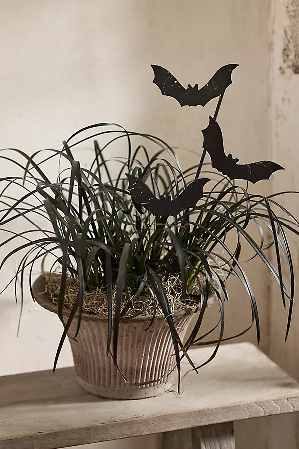 Mini Bat Trio Iron Stake | Anthropologie (US)