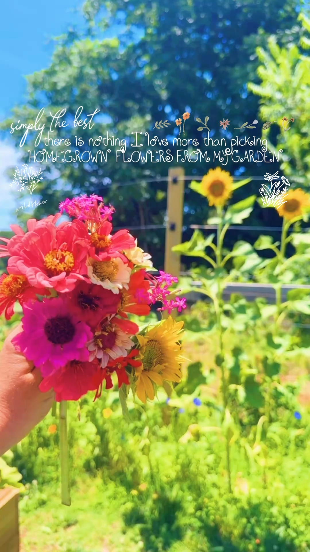 there is nothing I love more than picking homegrown flowers straight from my garden 🪴🫙💐🌾