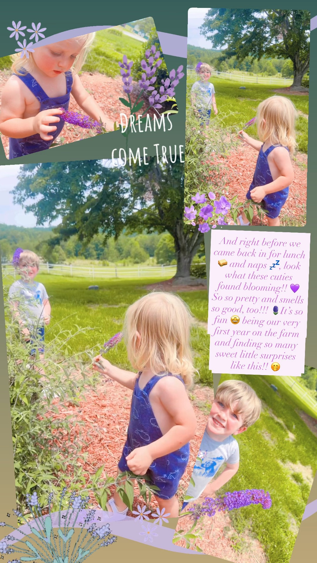 And right before we came back in for lunch 🥪 and naps 💤, look what these cuties found blooming!! 💜 So so pretty and smells so good, too!!! 🪻It’s so fun 🤩 being our very first year on the farm and finding so many sweet little surprises like this!! 🤭