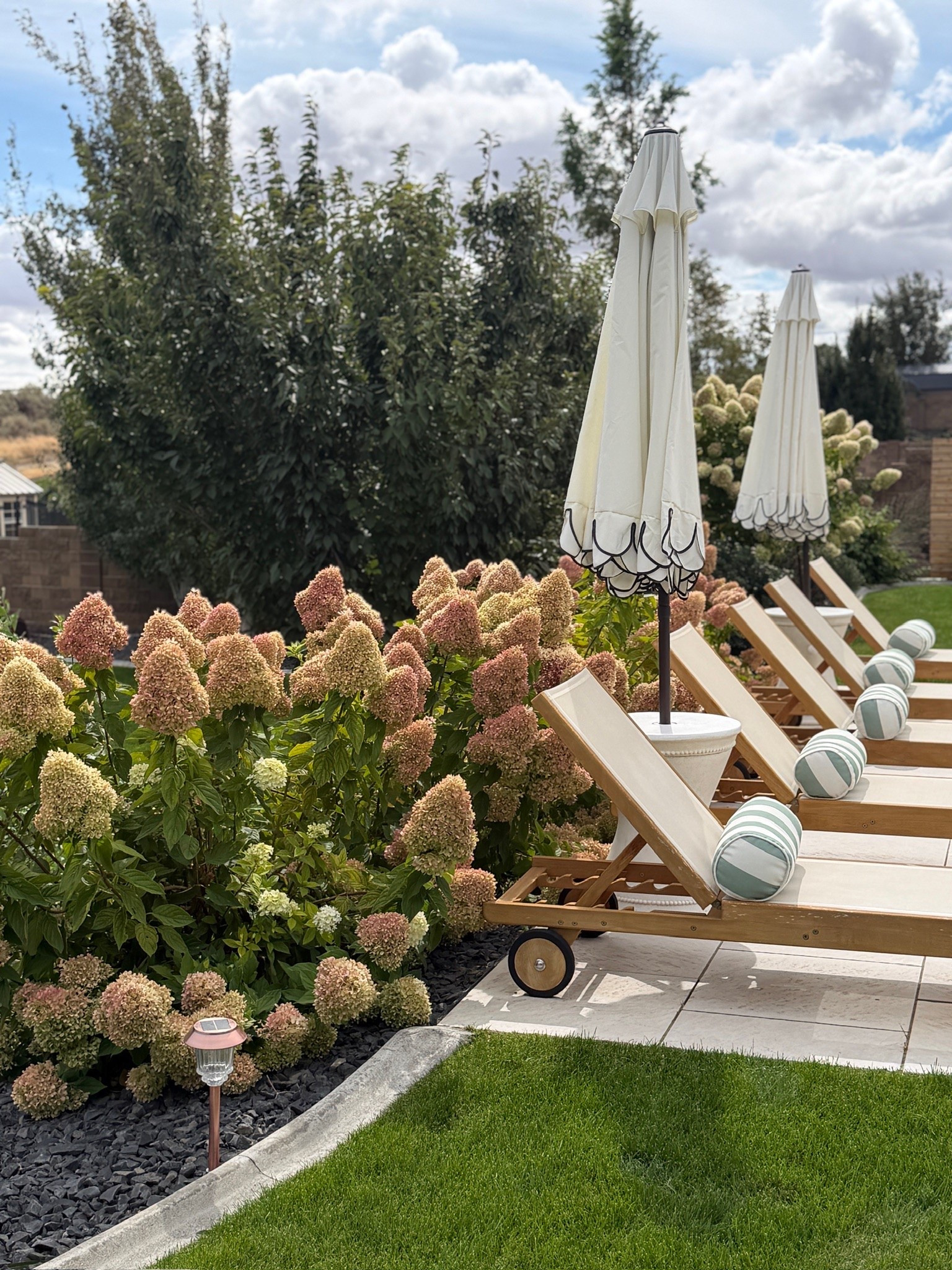 The most magical view of our backyard 🤍 I love it when our hydrangeas start to turn pink for the autumn season. 🍂

#LTKHome #LTKSeasonal