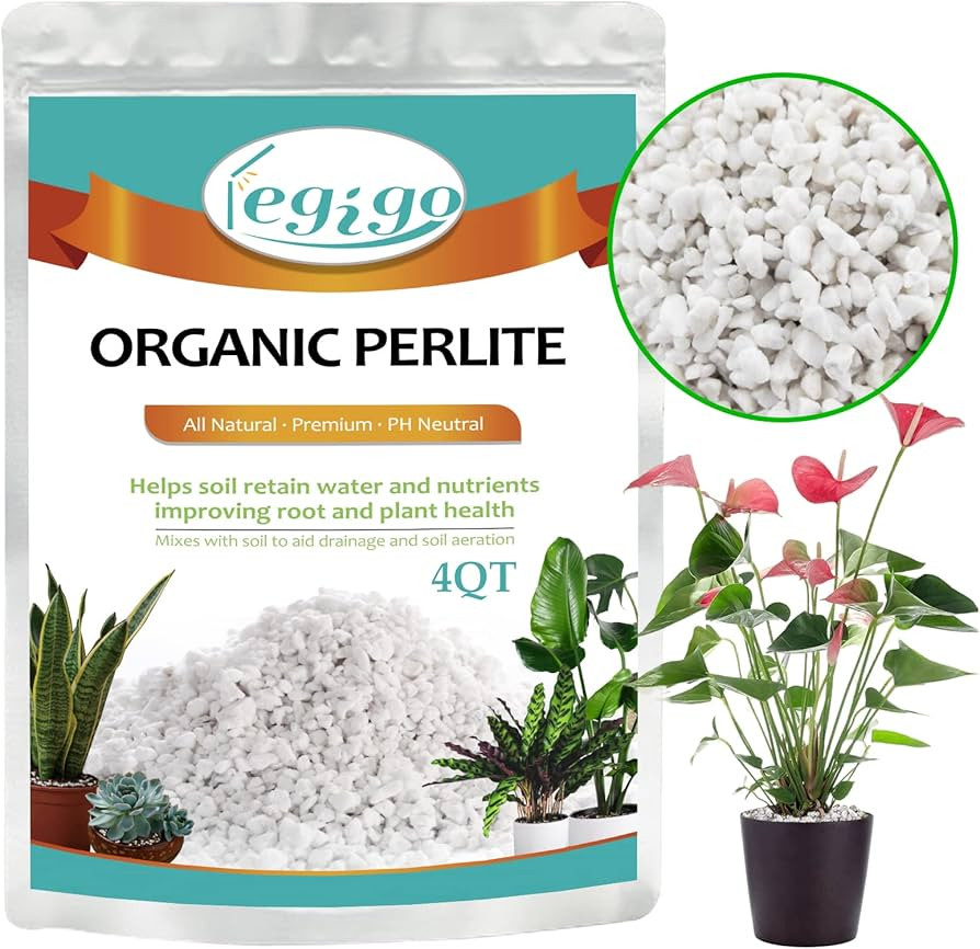 Legigo 4 Quarts Organic Horticultural Perlite for Plants Indoor- Natural Horticultural Soil Addit... | Amazon (US)