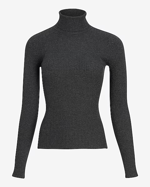 Fitted Ribbed Turtleneck Sweater | Express