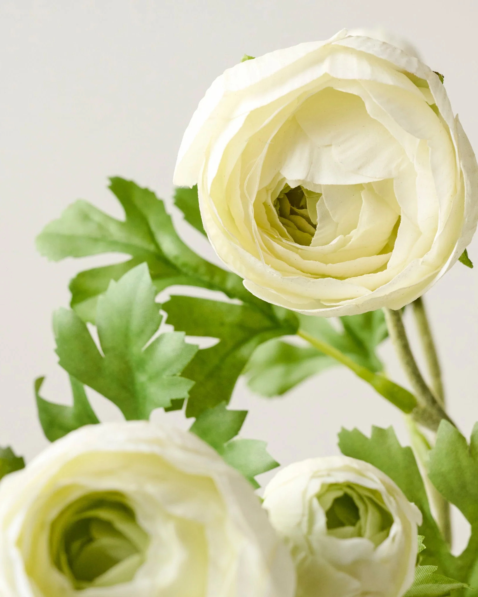Real Touch Ranunculus Stem | Magnolia