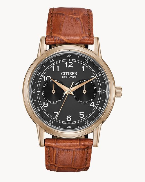 Corso - Men's Eco-Drive AO9003-08E Gold Case Brown Band Watch | CITIZEN | Citizen Watch