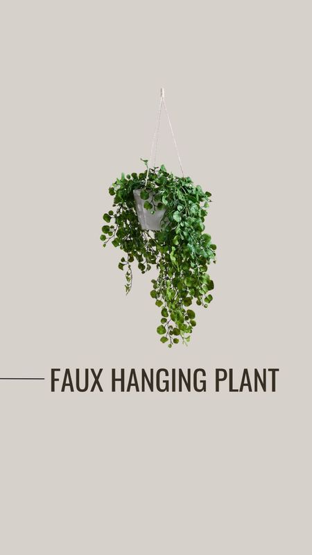 Faux Hanging Plant #fauxplant #hangingplant #plant #plantdecor #interiordesign #interiordecor #homedecor #homedesign #homedecorfinds #moodboard 

#LTKhome #LTKstyletip #LTKfindsunder100