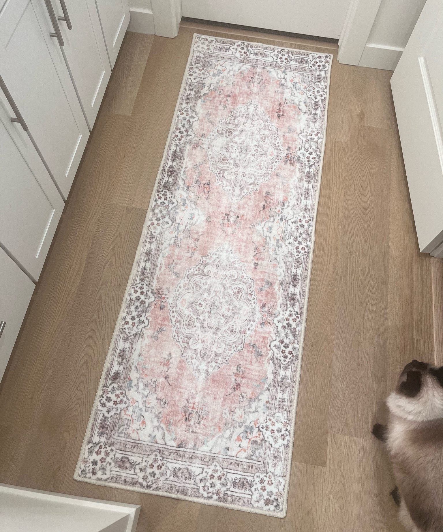 Love this new rug I got for my bathroom! It is so soft too!

#LTKhome #LTKunder50 #LTKstyletip