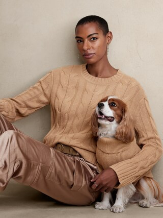 CABLE DOG SWEATER | Banana Republic Factory