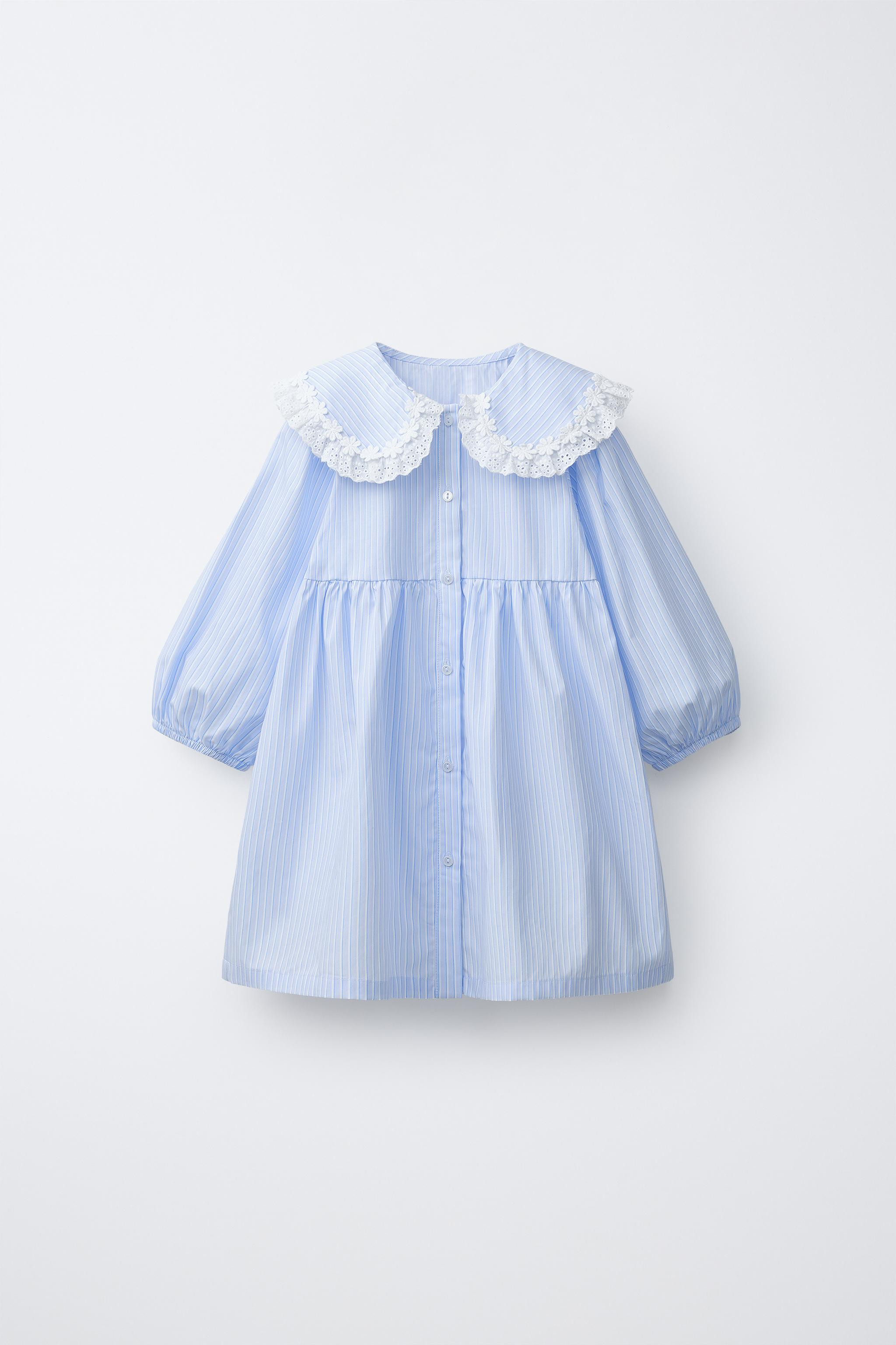 EMBROIDERED POPLIN PETER PAN COLLAR DRESS | Zara Canada