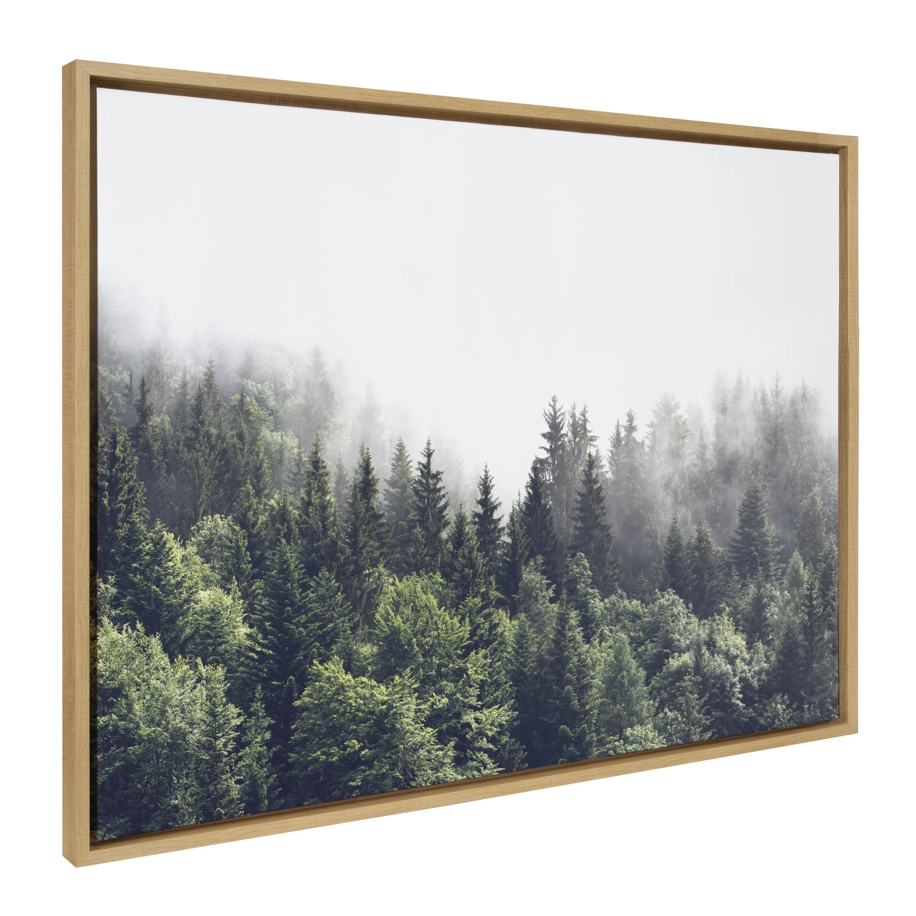 " Lush Green Forest On A Foggy Day " | Wayfair North America