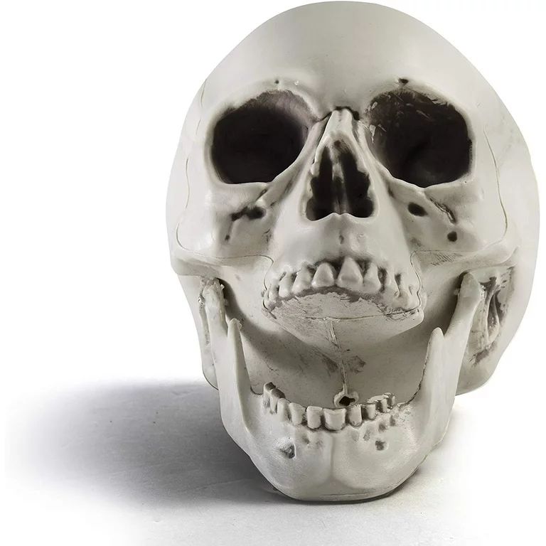 Prextex 6.5" Realistic Looking Skeleton Skull Halloween Decoration - Walmart.com | Walmart (US)