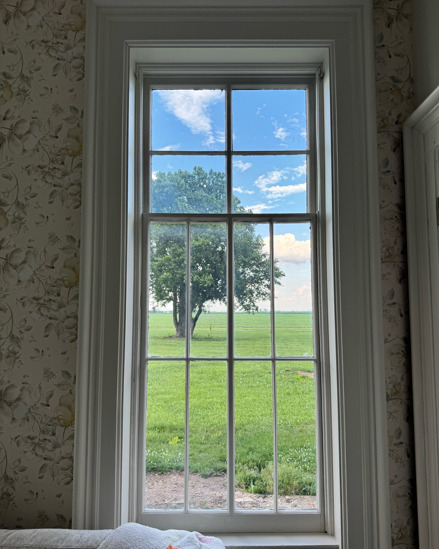 Restoring an old home is sometimes about the little things. 

A room with a view. The gorgeous moldings. The way the chandelier creates a room. 

It’s also about the counterbalance windows where the rope is broken. The glazing is coming off. The paint is peeling. 

And then you bring it all back together. A room with a view.

The paint is Sherwin Williams and is called Egret White ❤️