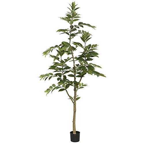 Vickerman Everyday 7' Potted Artificial Green Nandina Tree - Black Plastic Pot - Lifelife Home Or Of | Amazon (US)
