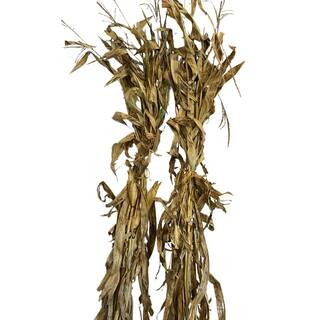 Corn Stalk Bundle (Set of 2) 687051875469 - The Home Depot | The Home Depot