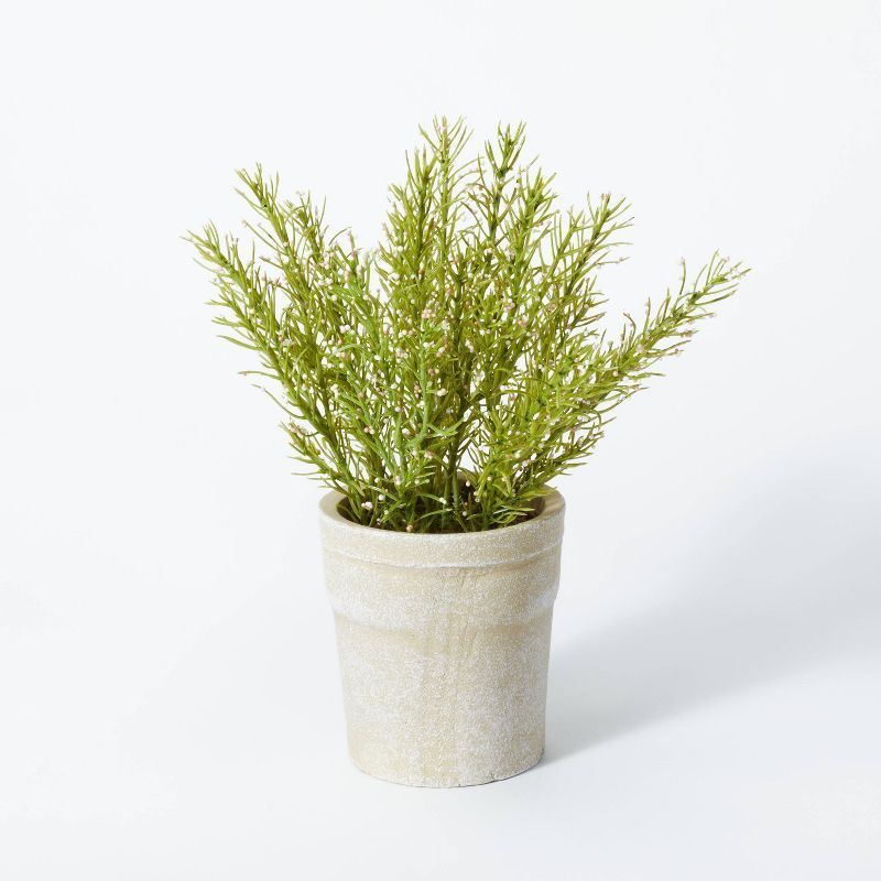 Flowering Rosemary Potted - Threshold™ designed with Studio McGee | Target