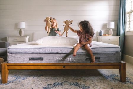 On the hunt for the perfect cozy mattress? Look no further! Everyone in our house is obsessed with this bed! 

#LTKFind #LTKfamily #LTKhome