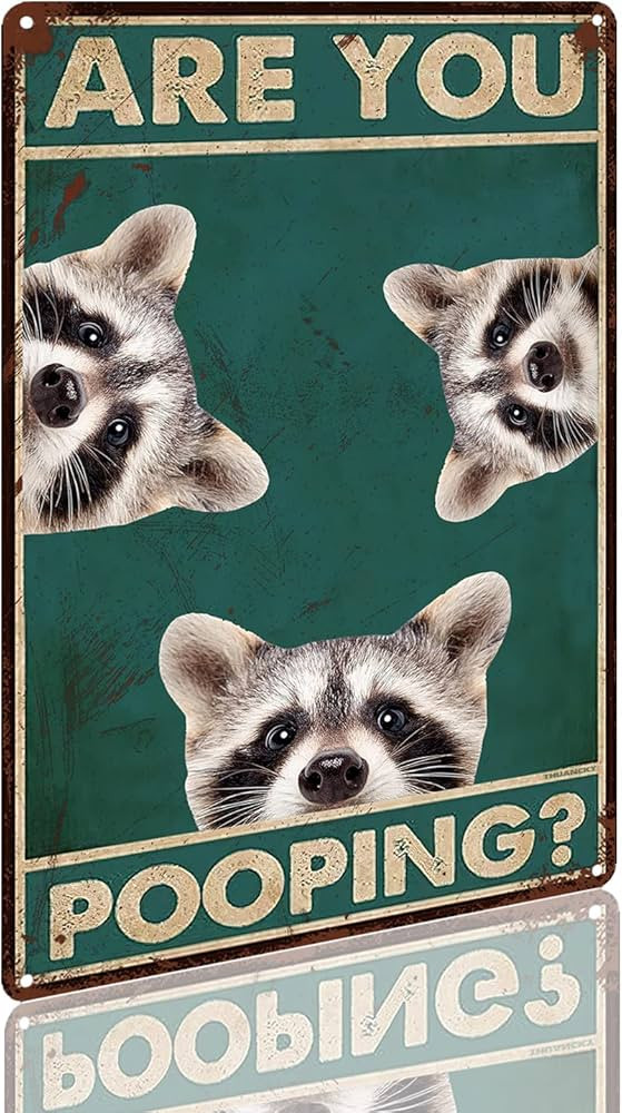 Retro Tin Sign Vintage Raccoon Are You Pooping Funny Signs,Bathroom Restroom Wall Toilet Decor Fu... | Amazon (US)