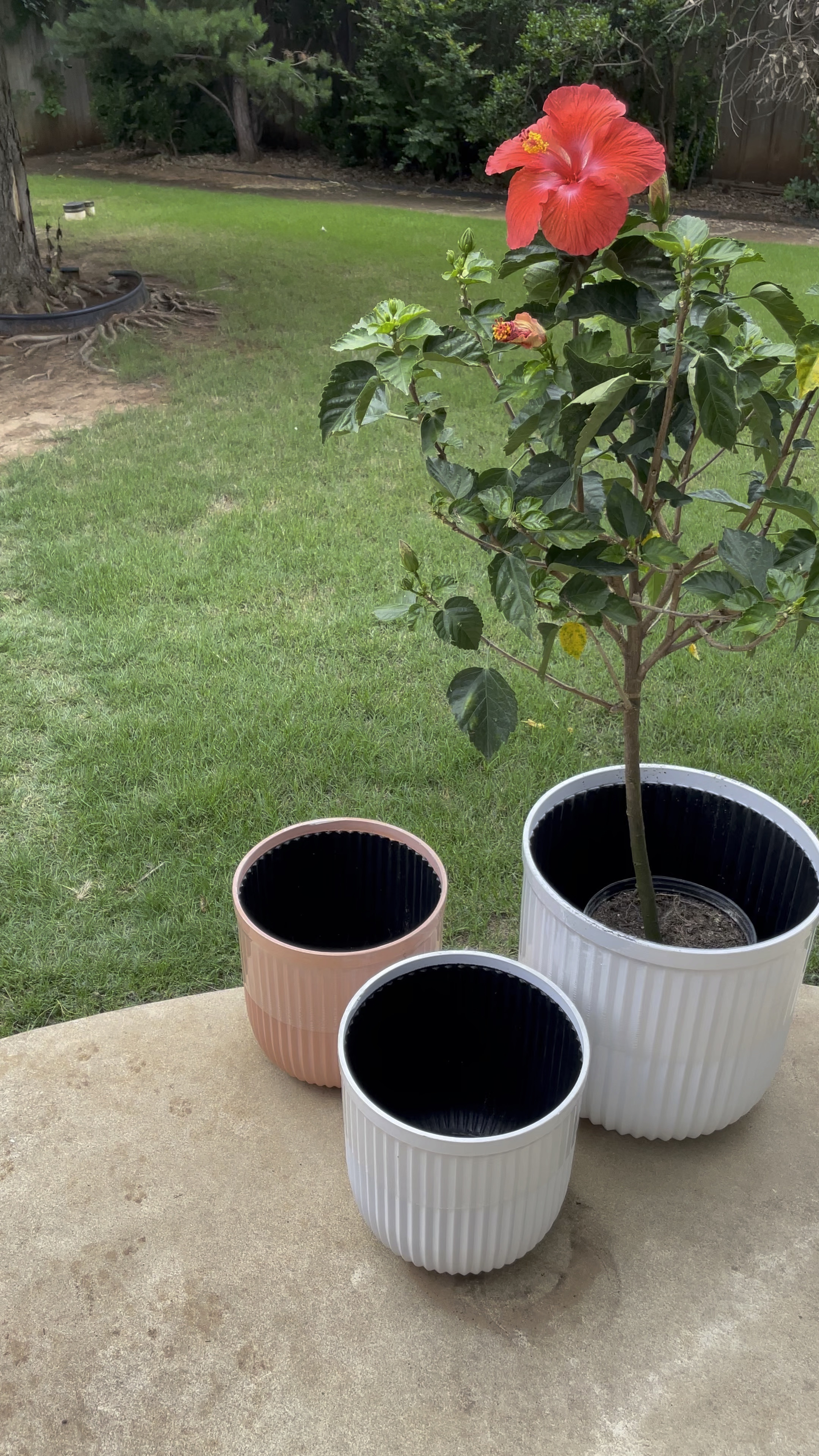 Affordable and cute planters for indoor or outdoor use 

Walmart, Walmart finds, planter, patio, outdoor planter, indoor planter, affordable planter, porch, home, flower pot, affordable planters, patio furniture 

Follow my shop @ashleyksteele on the @shop.LTK app to shop this post and get my exclusive app-only content!

#liketkit #LTKSeasonal #LTKhome #LTKunder50
@shop.ltk
https://liketk.it/4ayHR