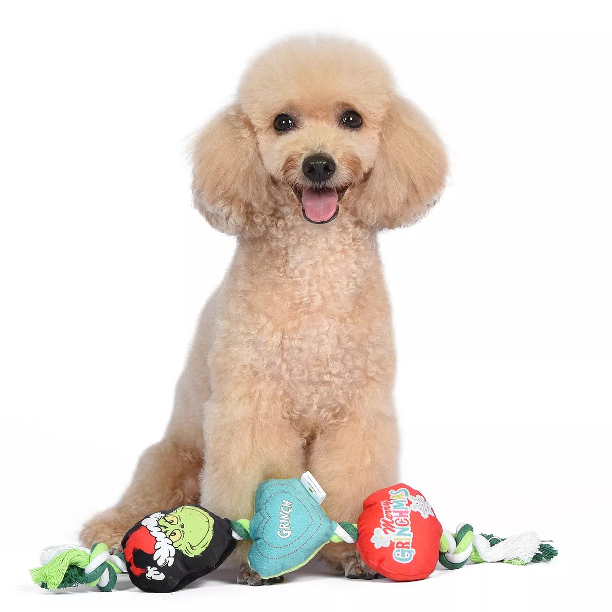 Dr. Seuss Holiday Grinch Rope Dog Toy | Kohl's