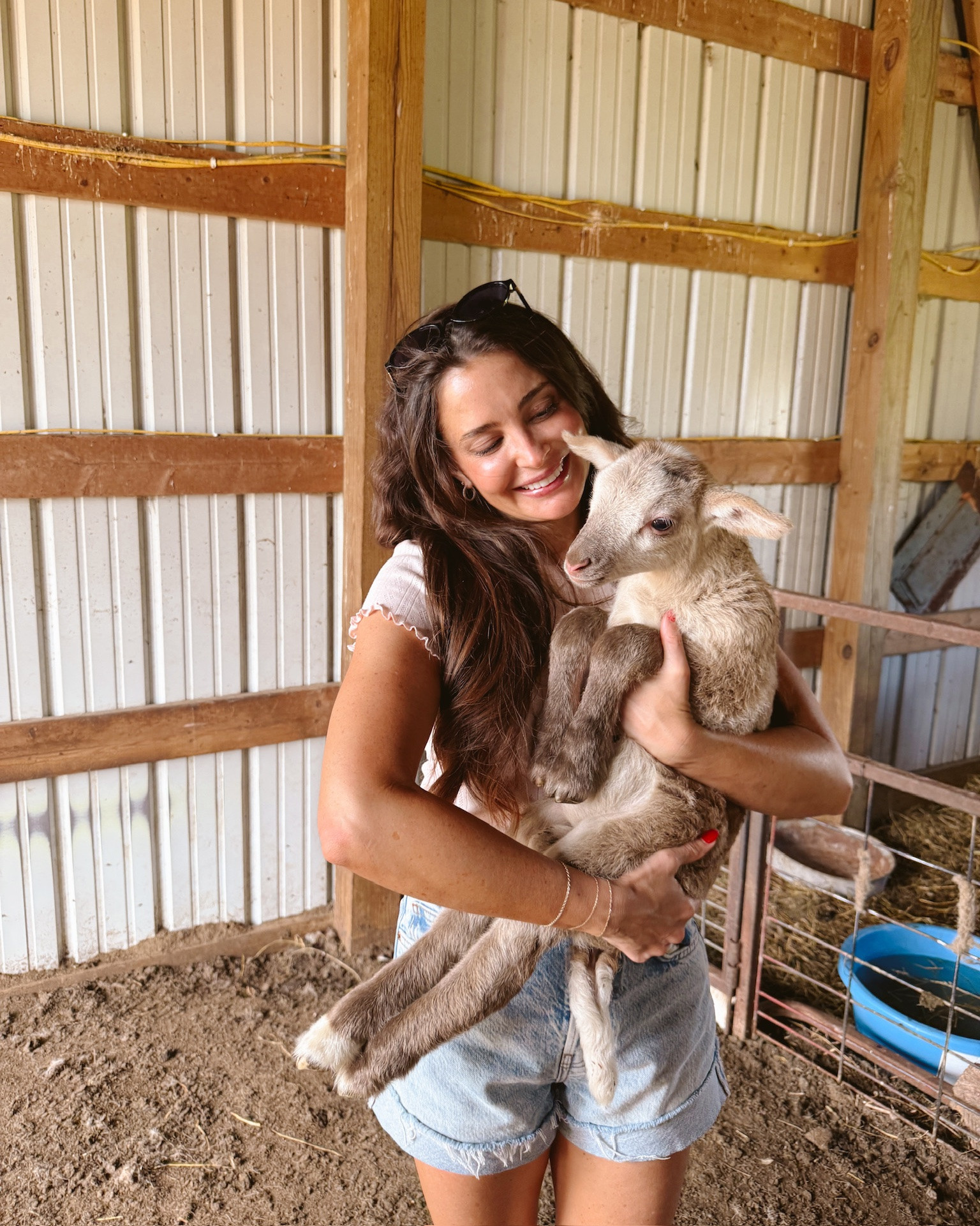 Miss summer already!

summer outfit, fall outfit, farm clothes, farm outfit, farm day, denim shorts, favorite tshirt, amazon sunglasses, amazon fashion, amazon accessories, 4th of July outfit, 4th of July, summer, summer outfit, pumpkin patch outfit, warm pumpkin patch outfit, warm farm outfit

#LTKootd #LTKvlog #LTKTravel