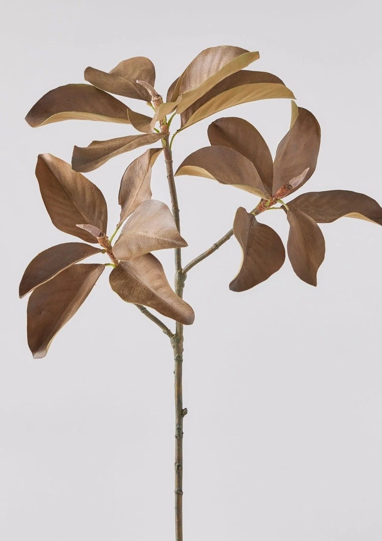 Fall Brown Artificial Magnolia Leaf Branch - 38.5" | Afloral