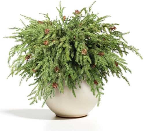 WBHome 12 Pcs Christmas Norfolk Pine Branches with Pine Cones - 18" Real Touch Norfolk Pine Branc... | Amazon (US)