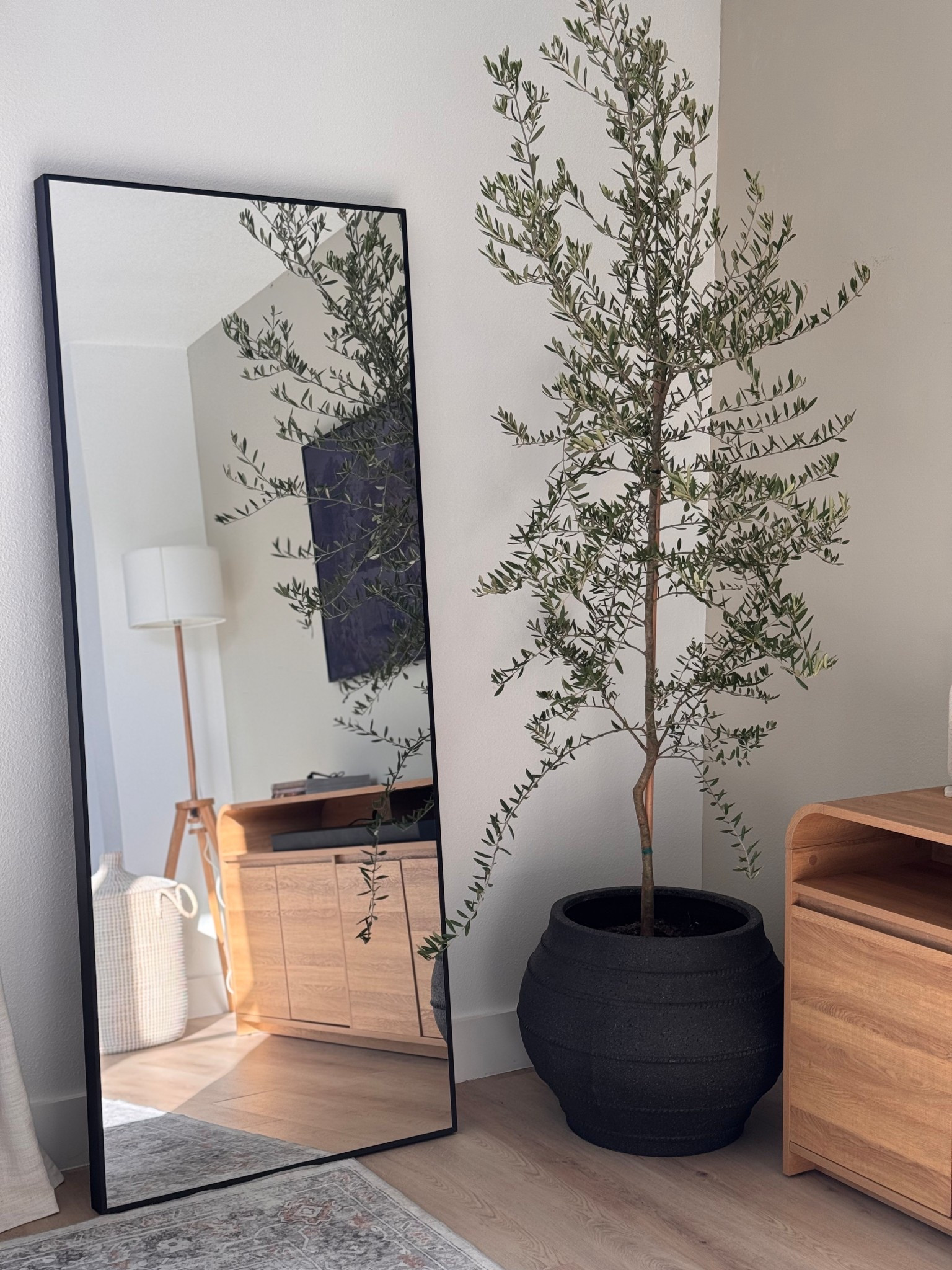 Love my new plant and planter 😍😍 soo beautiful! #homedecor #homedesign #homeinterior #indoorplant 