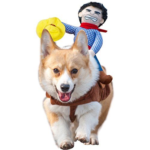 NACOCO Cowboy Rider Dog Costume for Dogs Clothes Knight Style with Doll and Hat for Halloween Day Pe | Amazon (US)