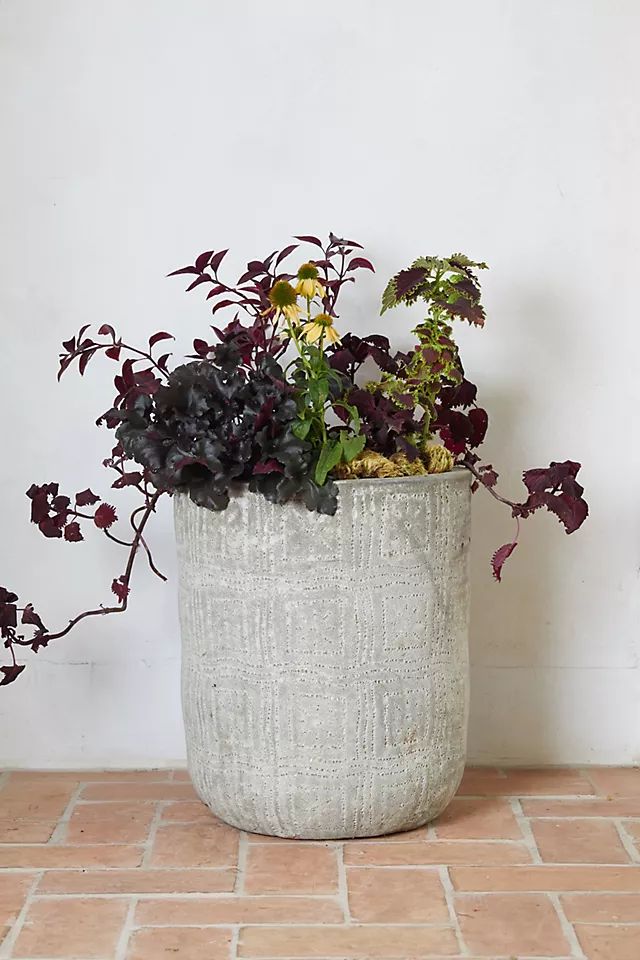 Barnacle Etched Pot | Anthropologie (US)