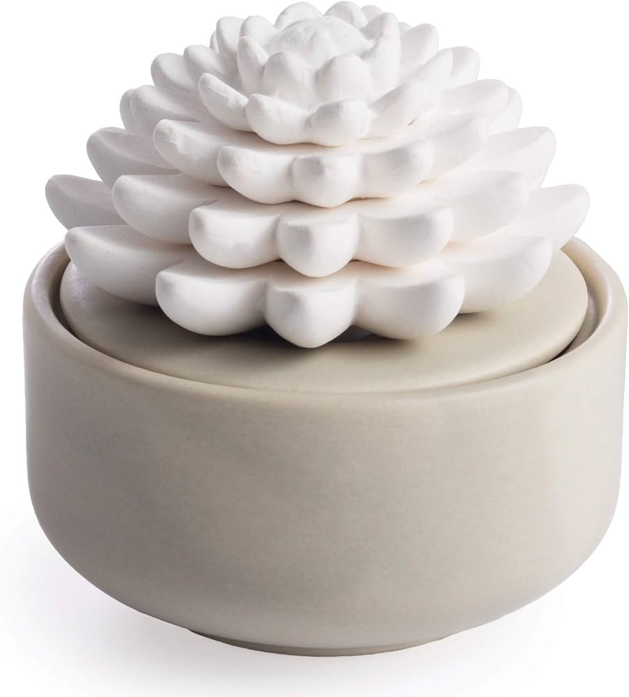 Airomé Succulent Passive White Porcelain Diffuser, Non-Electric, Battery-Free Fragrance and Esse... | Amazon (US)