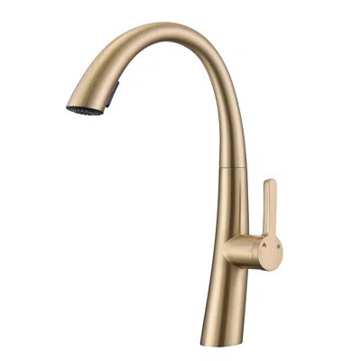 Maxbrass Pull Out Kitchen Faucet | Wayfair North America