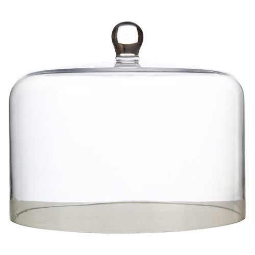 Diamante Straight Sided 26cm Glass Cake Dome | Temple & Webster AU
