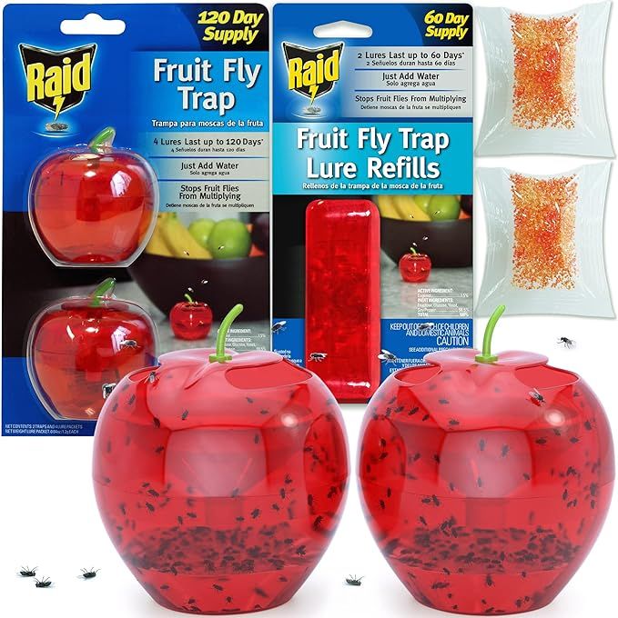 Fruit Fly Traps for Indoors by Raid | 2 Lures + 2 Refills | Effective Fruit Fly Trap for Indoor U... | Amazon (US)