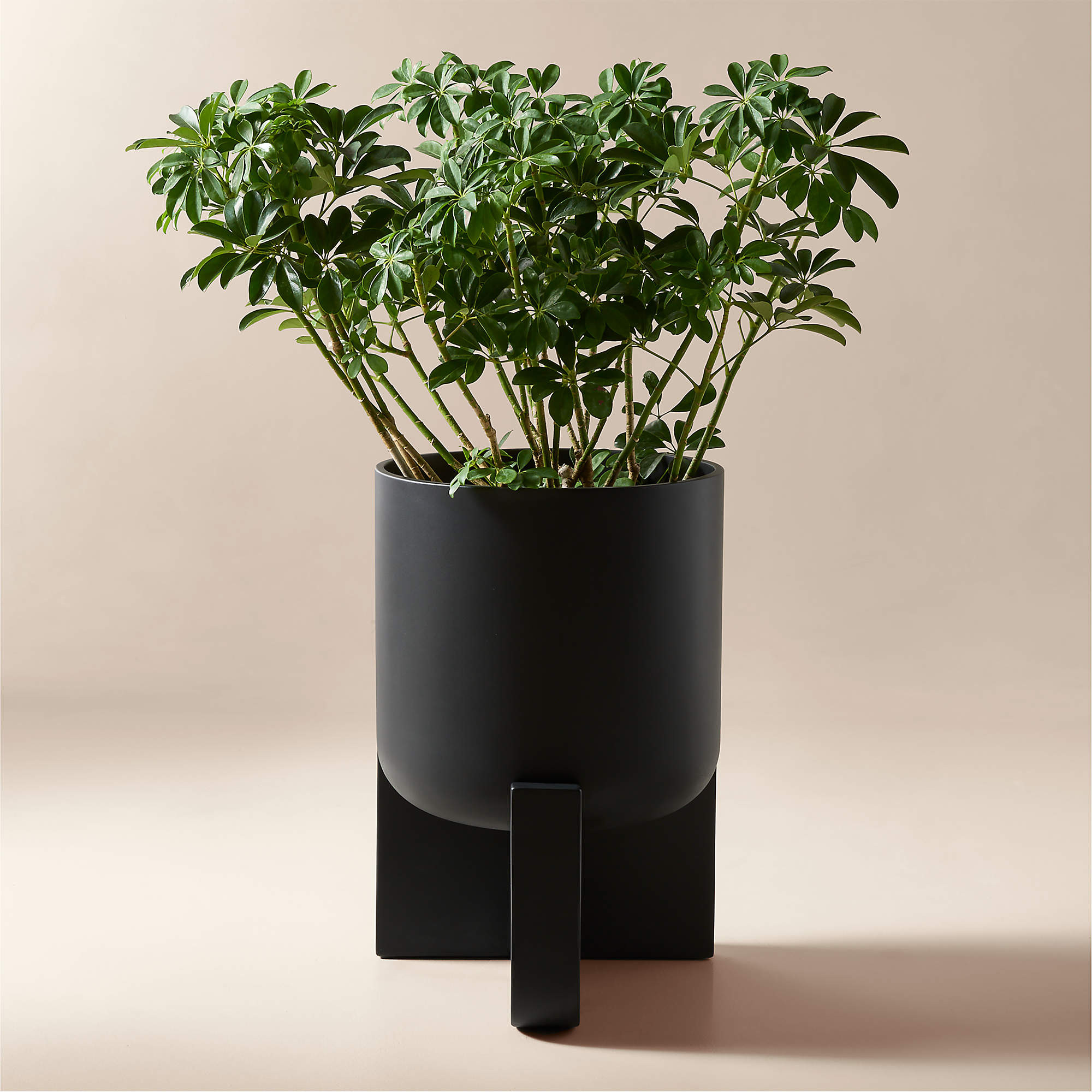 Verro Black Cement Standing Planter Wide + Reviews | CB2 | CB2