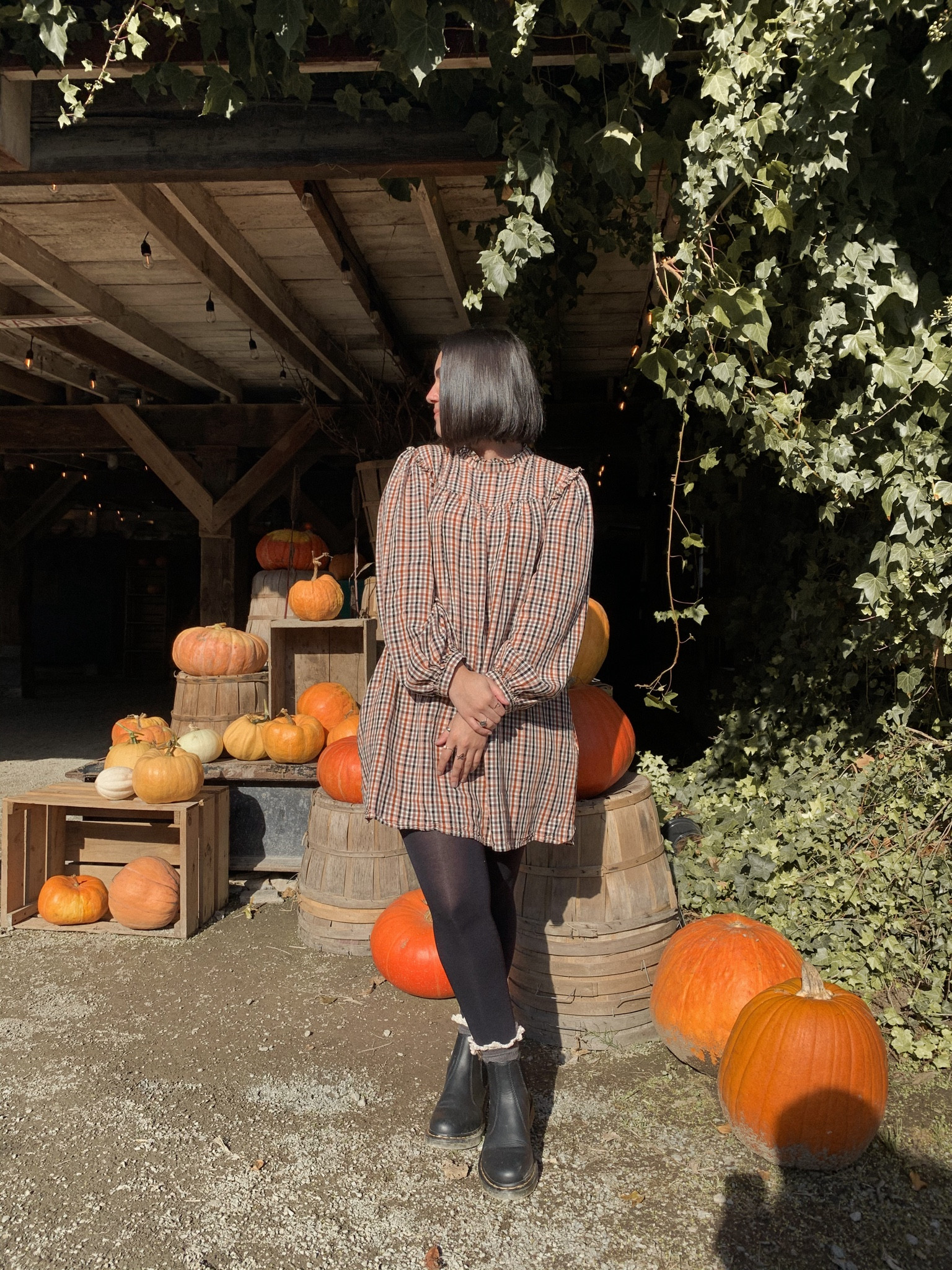 cutest fall outfit with plaid dress (linked similar), black tights (also linked similar), frilly socks (liked exact), and chelsea doc martens (linked exact)  🍂🧡 perfect for a cute fall day at a pumpkin patch / corn maze!!! 

#LTKSeasonal #LTKMostLoved #LTKGiftGuide