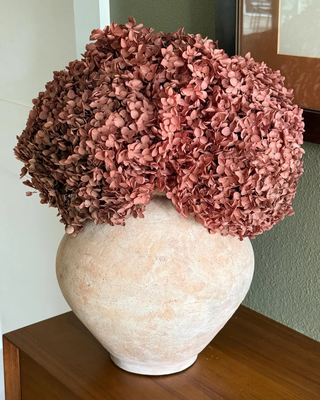 Real Hydrangea Preserved- Large Desert Rose - Etsy | Etsy (US)