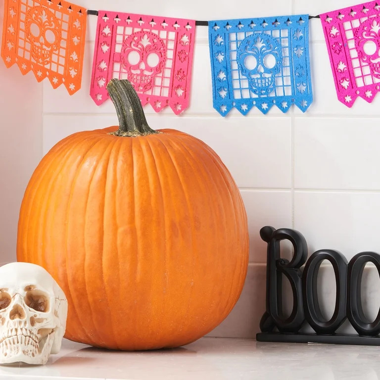 Carving Pumpkin, Each | Walmart (US)