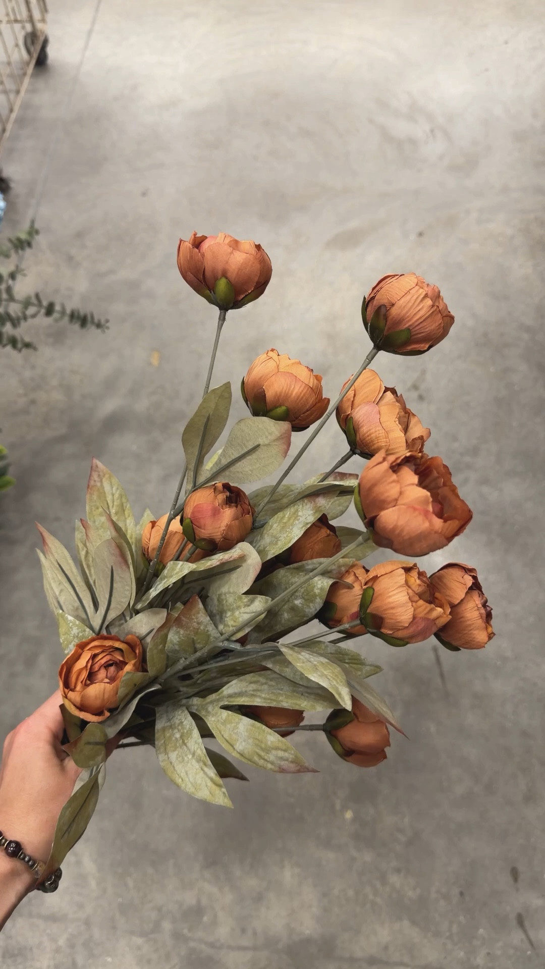 Viral brown peonies NOW ONLINE!

#LTKOver40 #LTKSaleAlert #LTKHome