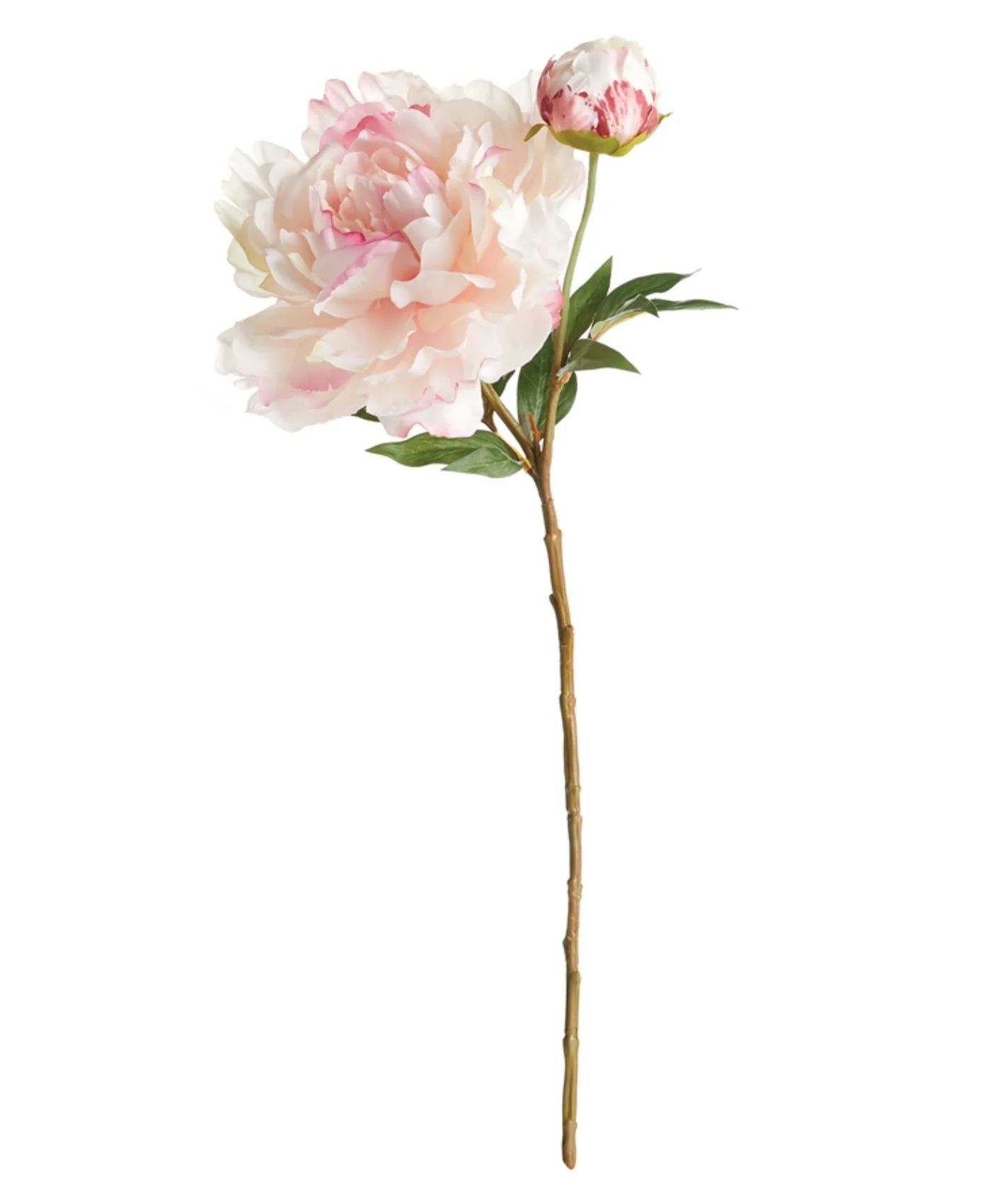 Blush Peony Stem | House of Blum