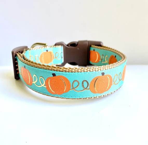Fall Pumpkins Dog Collar | Etsy (US)