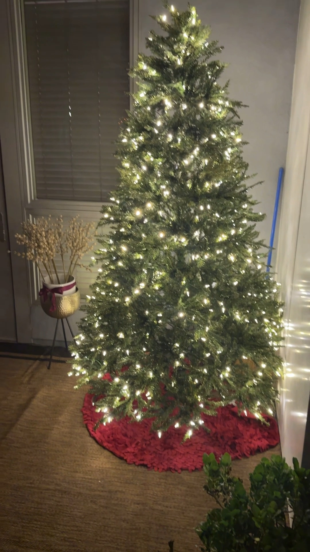 It’s Tiiiiiiimmmmmmmme (Mariah Carey voice) 
Perfect tree for anyone that needs something special 


#christmastree #holidayfinds #decor #home #homedecor #wreath #outdoor #solarlights #candles

#LTKTravel #LTKSeasonal #LTKHoliday