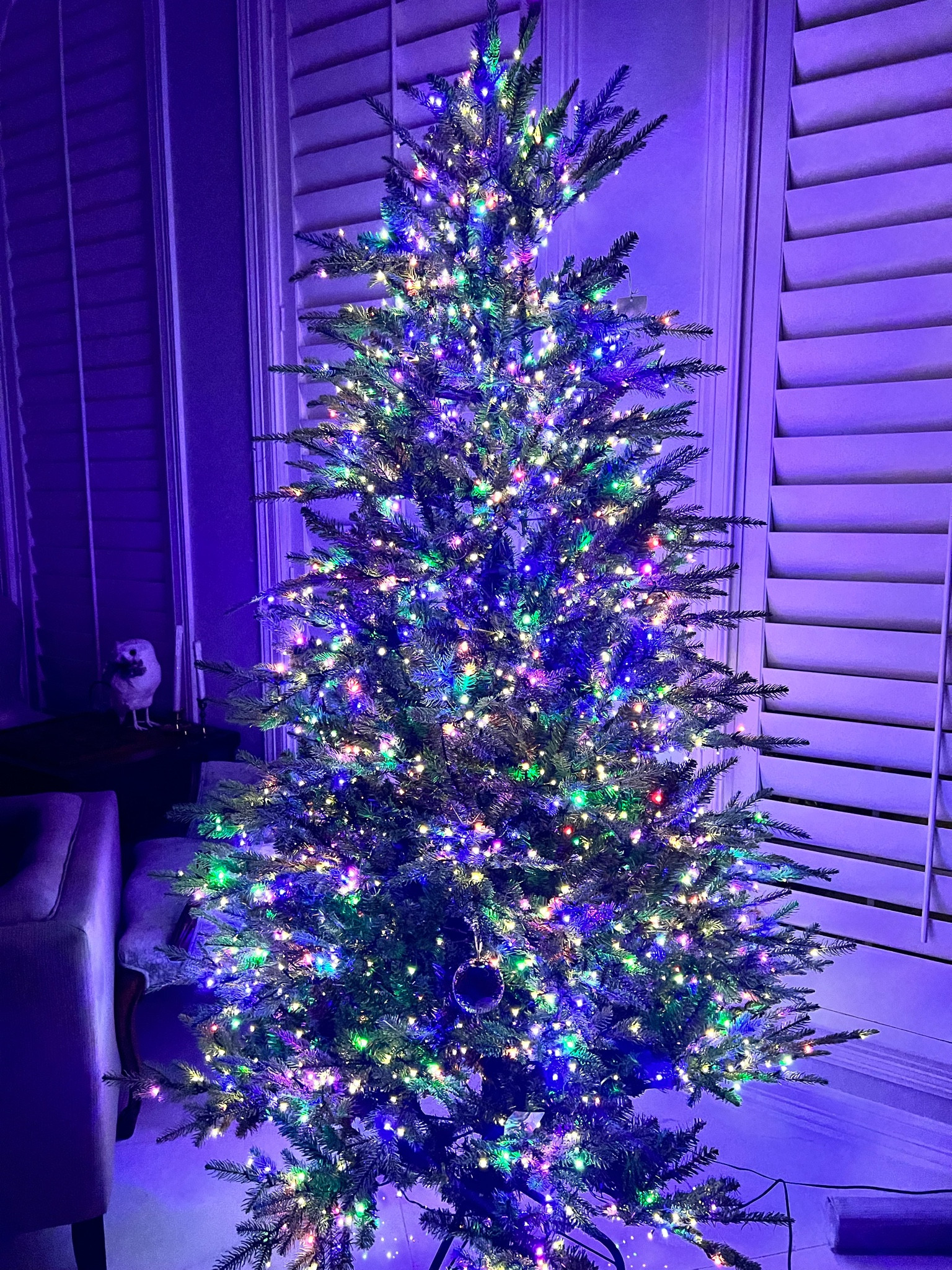 Not decorated yet but loving this tree so much. 
Favorites: 
no fluffing required 
3 minutes to assemble
Natural looking stems 
Smaller twinkle lights
Remote with timers and multiple settings
No shedding
Not too expensive 

#LTKHoliday #LTKSeasonal #LTKHome