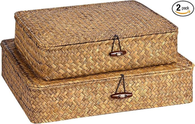 Set of 2 Flat Seagrass Storage Bins with Lid Wicker Storage Baskets for Organizing, Woven Shelf O... | Amazon (US)