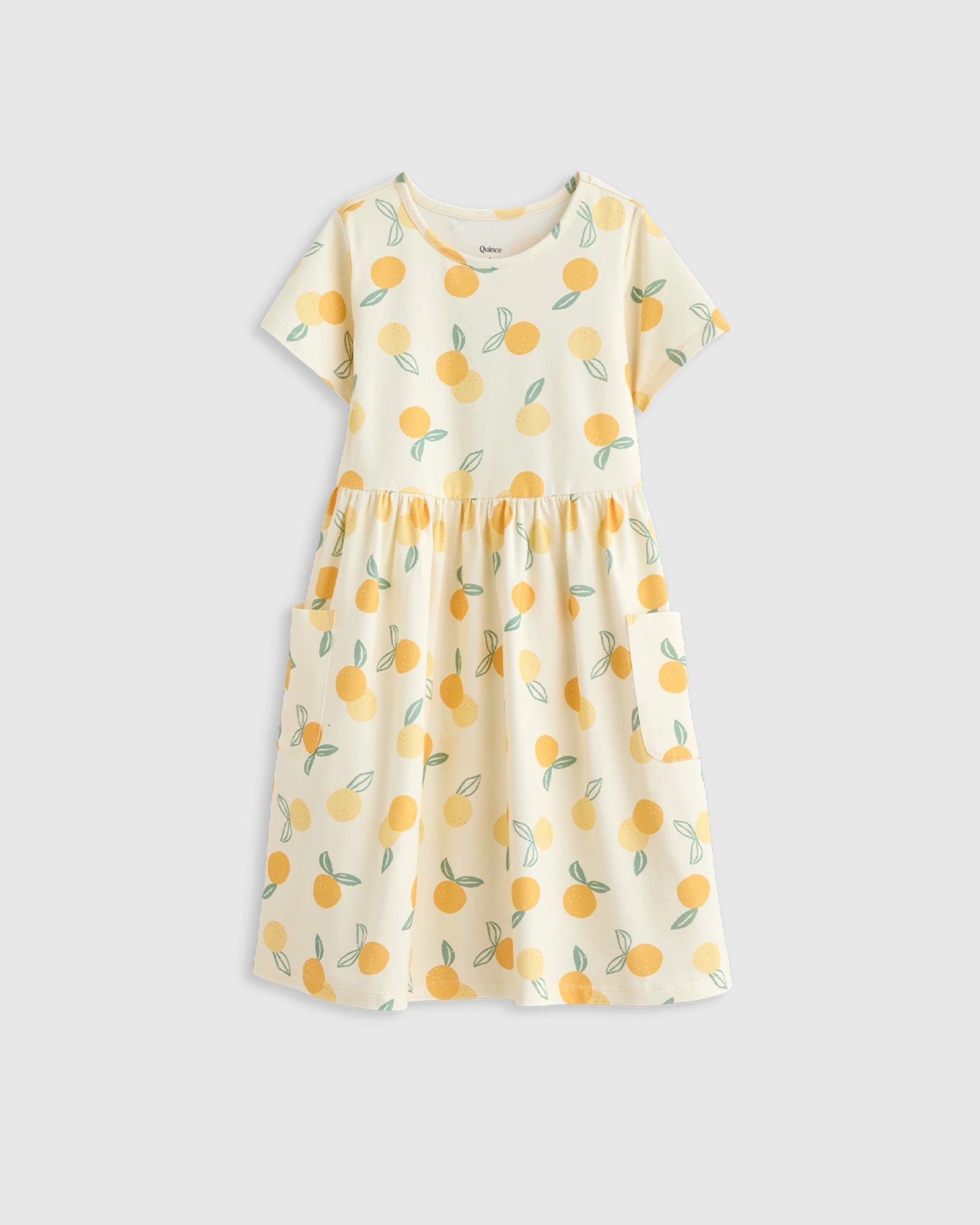 Organic Cotton Fit and Flare Pocket Dress | Quince