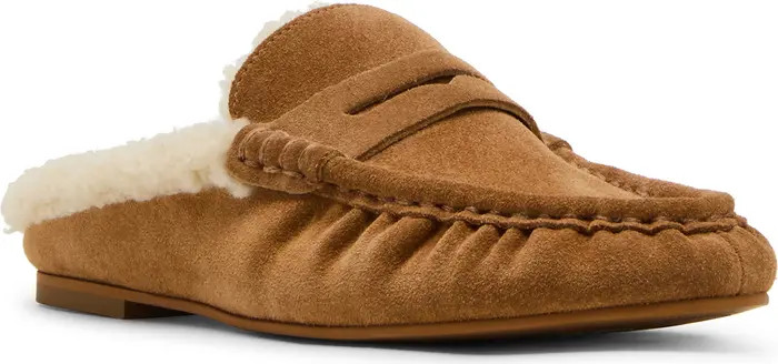 Steve Madden Rafe Genuine Shearling Mule (Women) | Nordstrom | Nordstrom